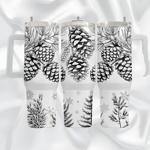 Snow with Pine Cones