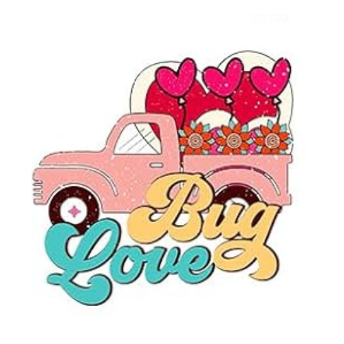 Love Bug2